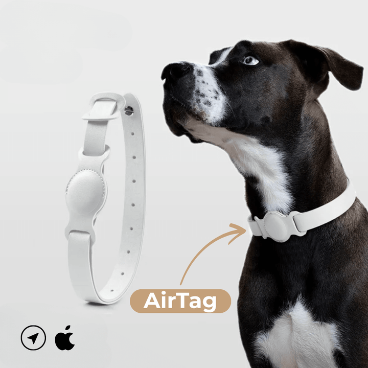 SafeTrack Lederhalsband – mit AirTag-Fach
