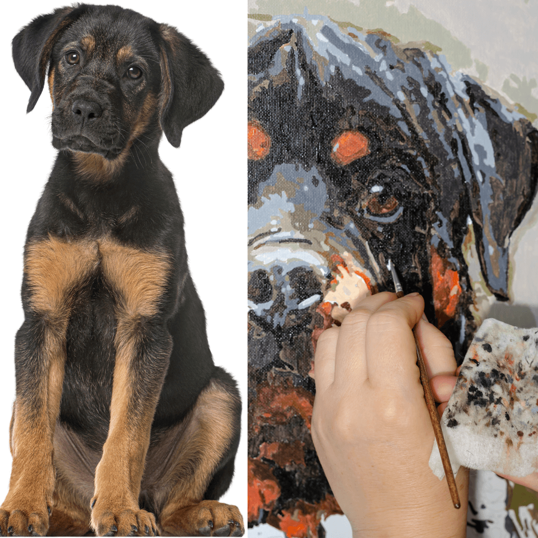 *NEW* Emmalove - AntiSplash dog bowl 