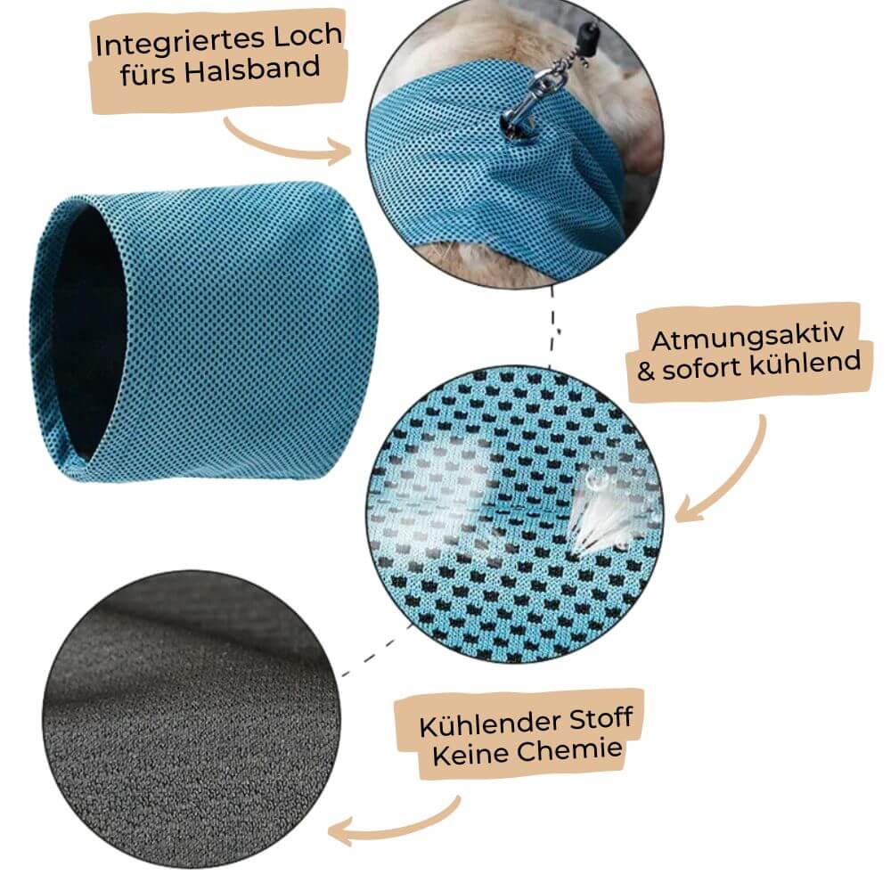 *NEW* Emmalove - AntiSplash dog bowl 