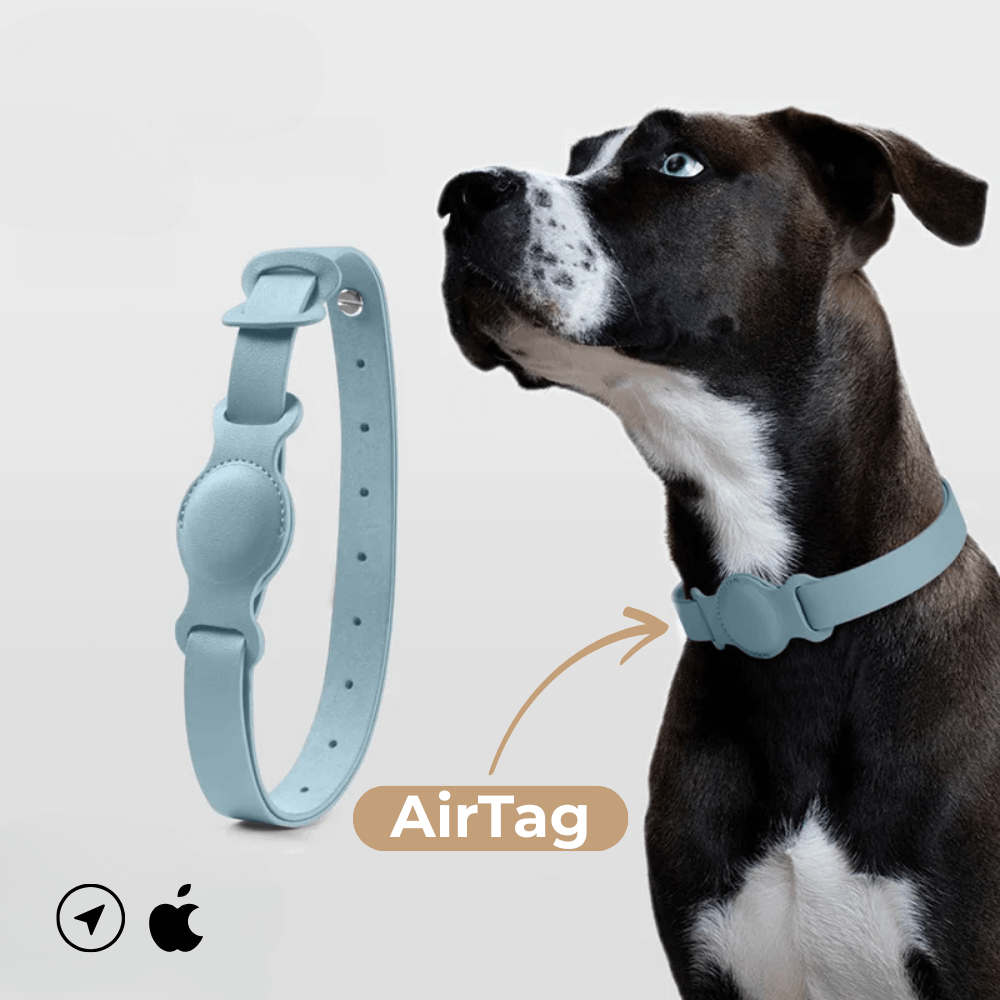 SafeTrack Lederhalsband – mit AirTag-Fach