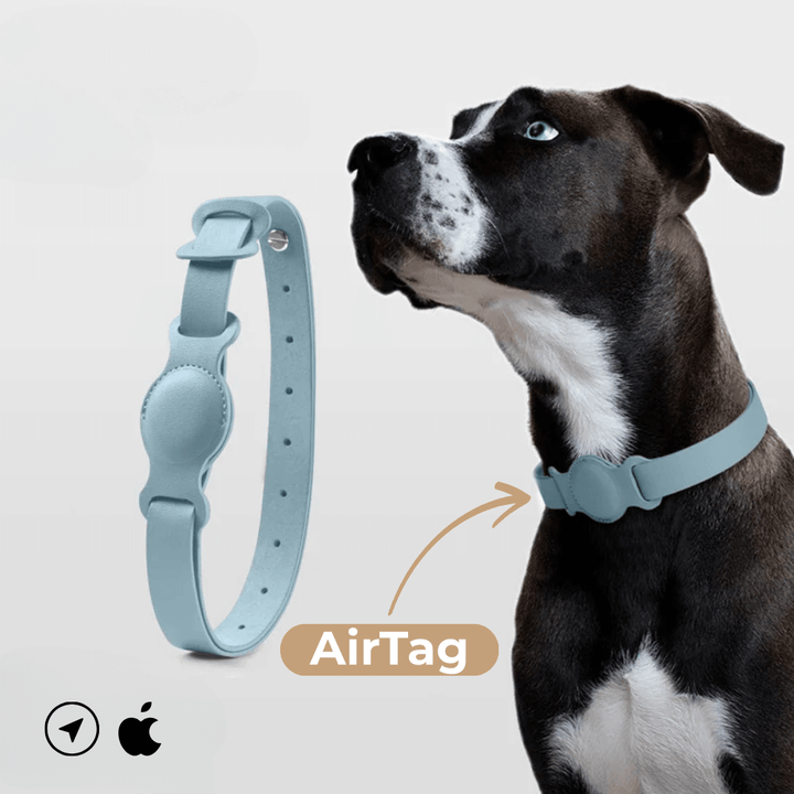 SafeTrack Lederhalsband – mit AirTag-Fach
