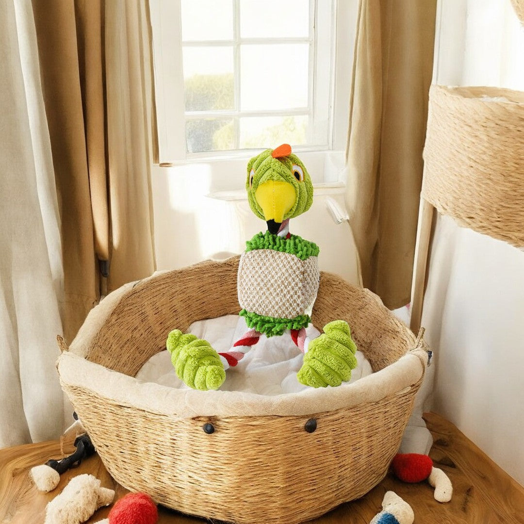 Emmalove - Parrot Peter