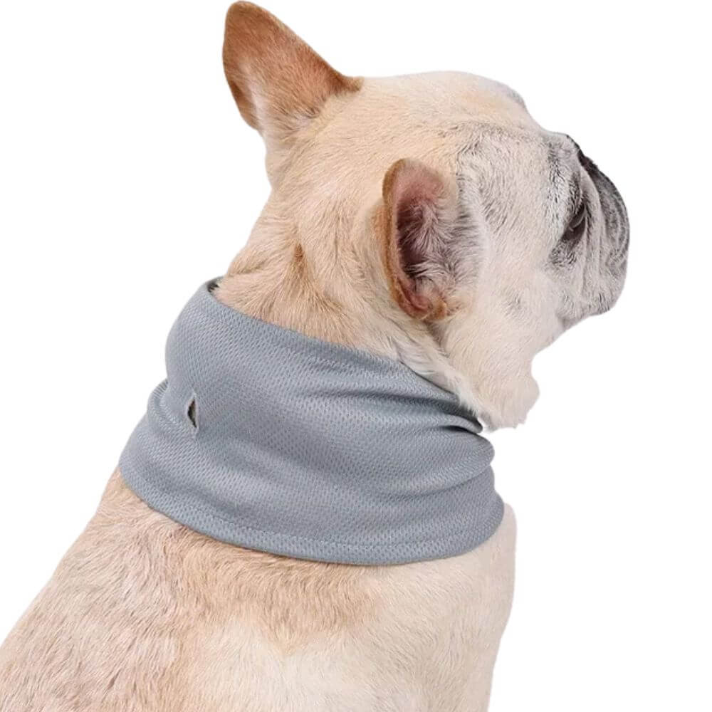 *NEW* Emmalove - AntiSplash dog bowl 