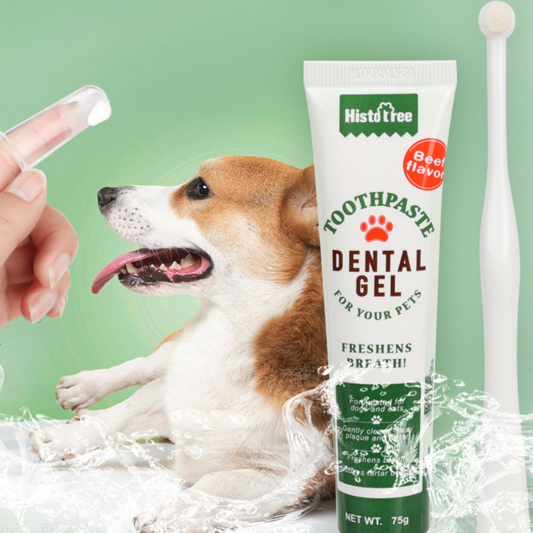 Emmalove - Dental Care Kit