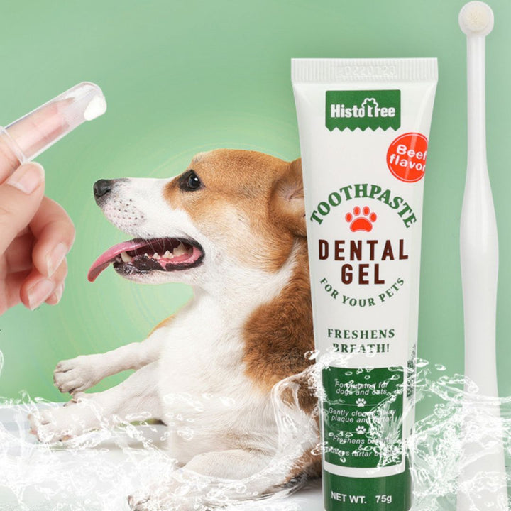 Emmalove - Dental Care Kit