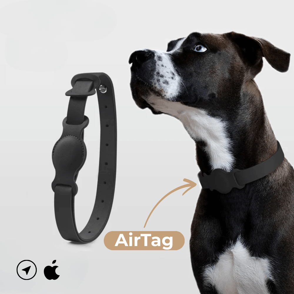 SafeTrack Lederhalsband – mit AirTag-Fach
