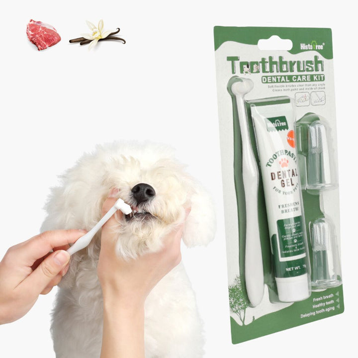 Emmalove - Dental Care Kit