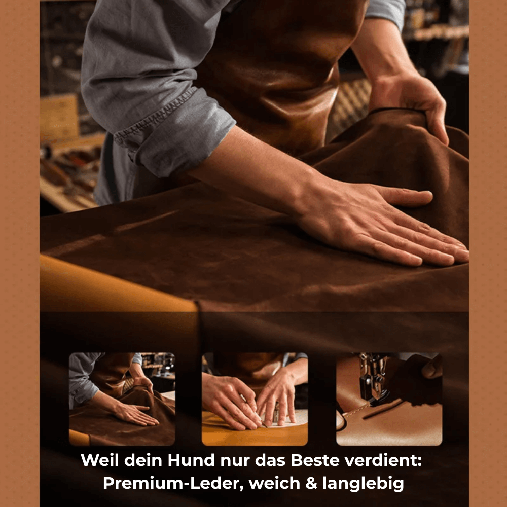 SafeTrack Lederhalsband – mit AirTag-Fach