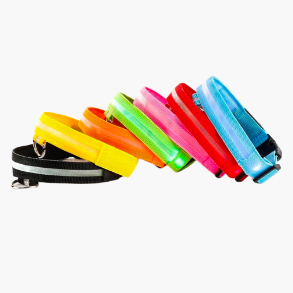 Emmalove - Luminous collar