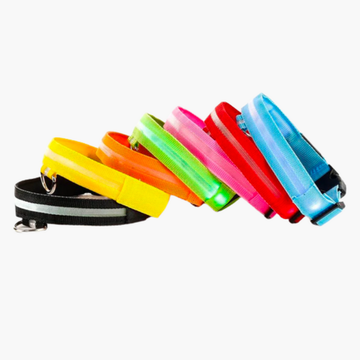 Emmalove - Luminous collar