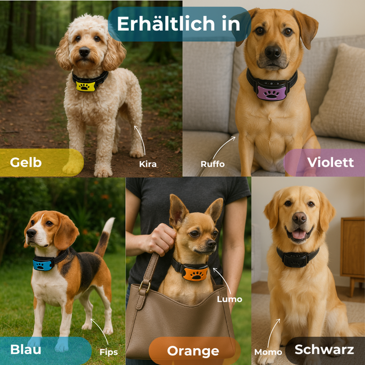 Emmalove - Animal-friendly anti-bark collar 