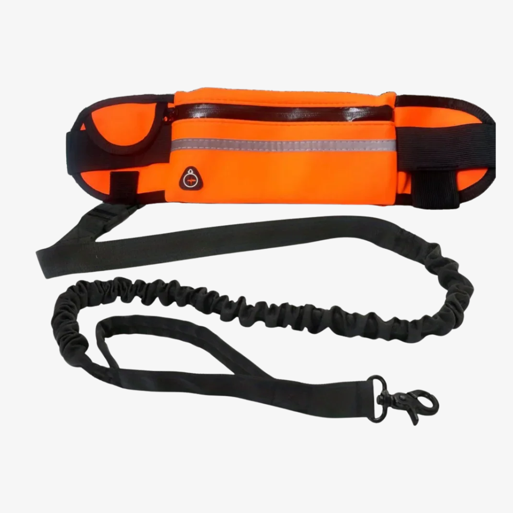 All-in-One Comfort-Leine