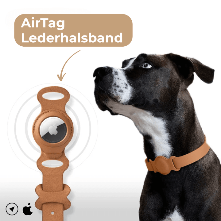 SafeTrack Lederhalsband – mit AirTag-Fach