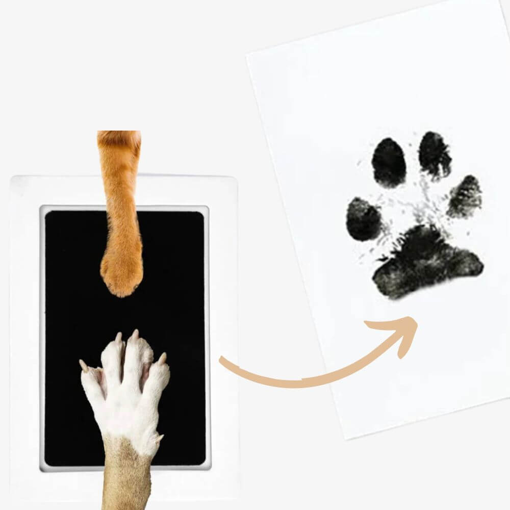 *NEW* Emmalove - AntiSplash dog bowl 