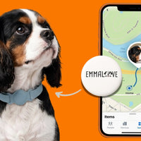 Dog GPS Tracker - No Subscription Required - Tracking without Subscription & Monthly Costs