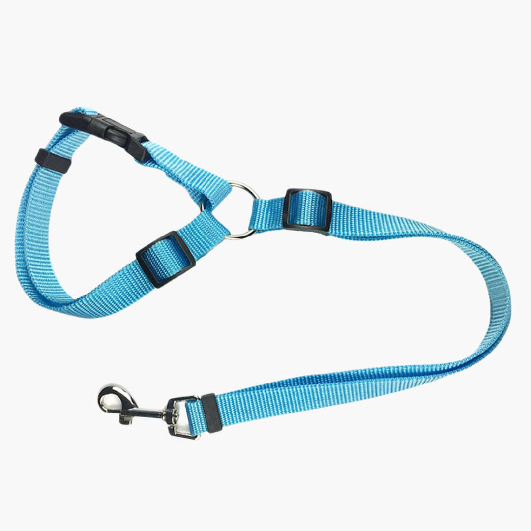 Emmalove - safety leash for dogs
