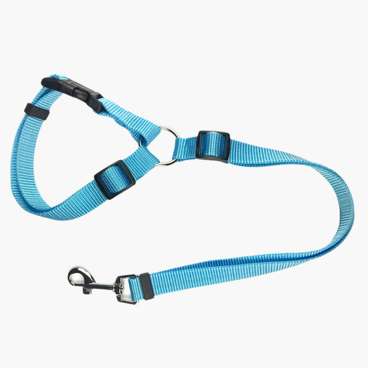 Emmalove - safety leash for dogs