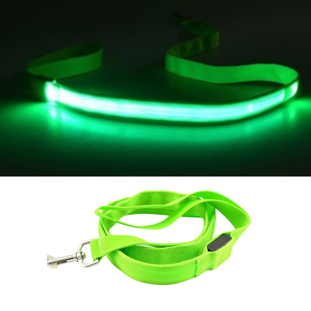Emmalove - Luminous dog leash