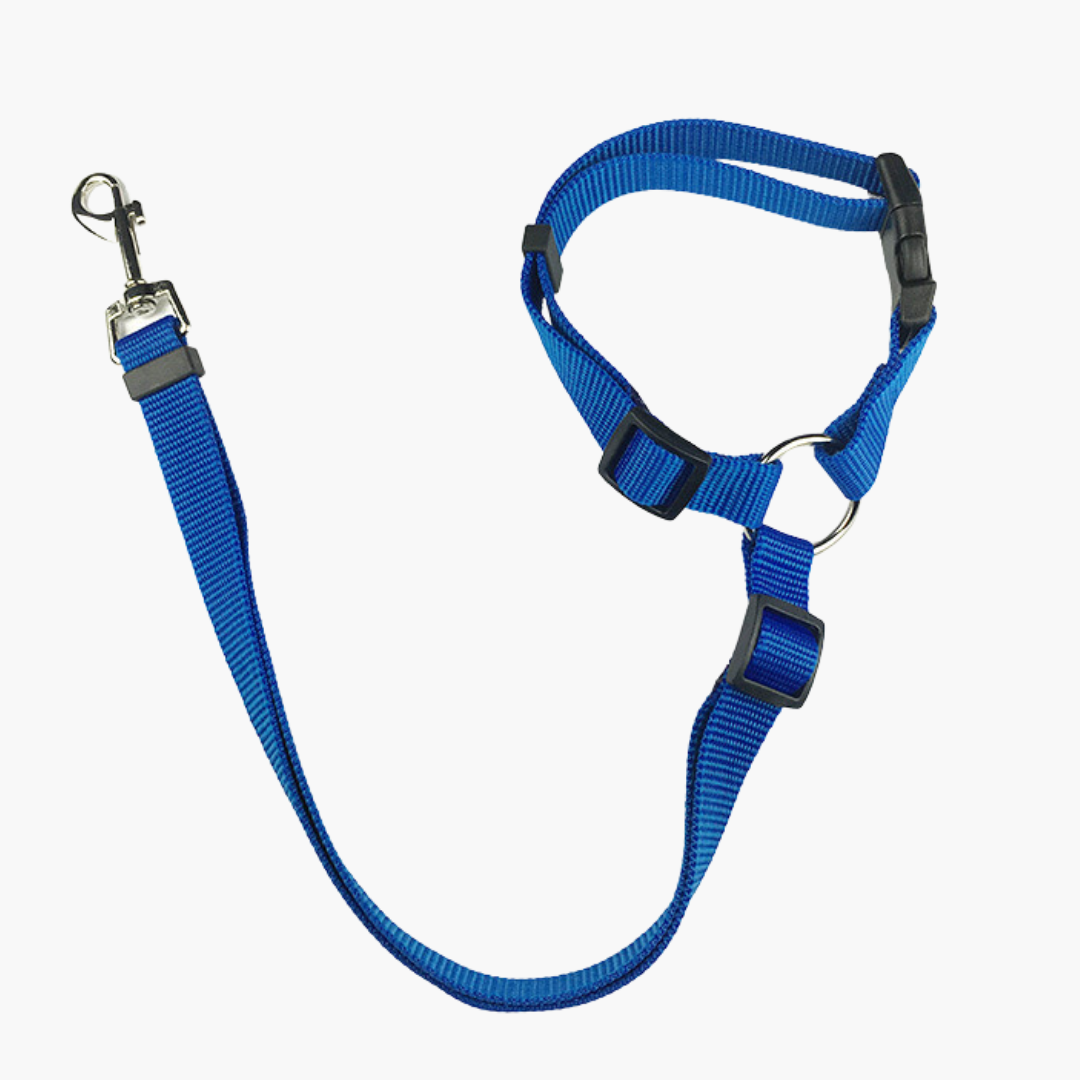 Emmalove - safety leash for dogs