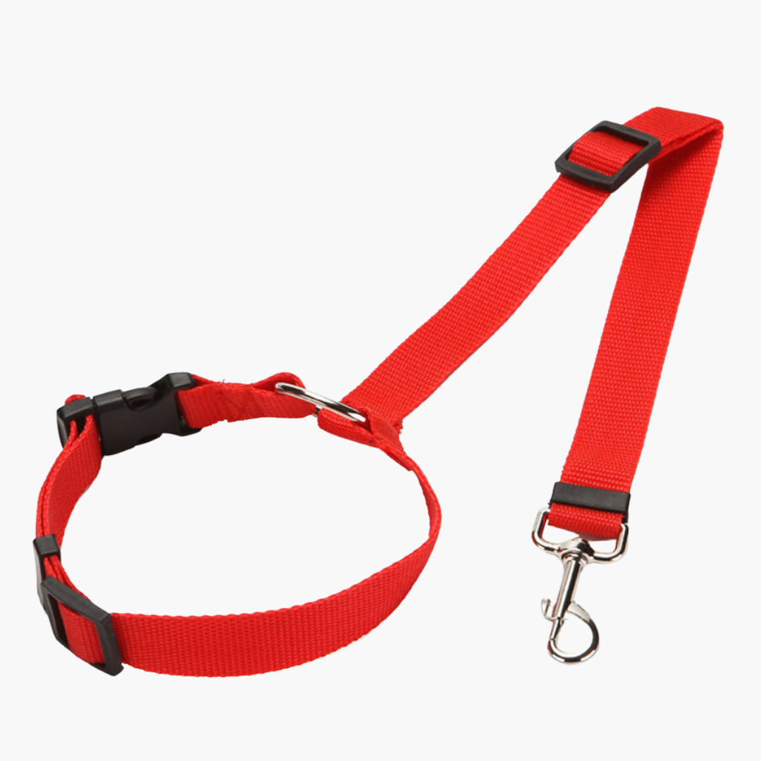 Emmalove - safety leash for dogs