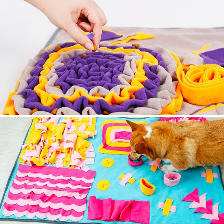 Emmalove - sniffing carpet 